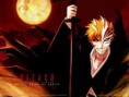 /album/animes-e-jogos/bleach-365-jpg/